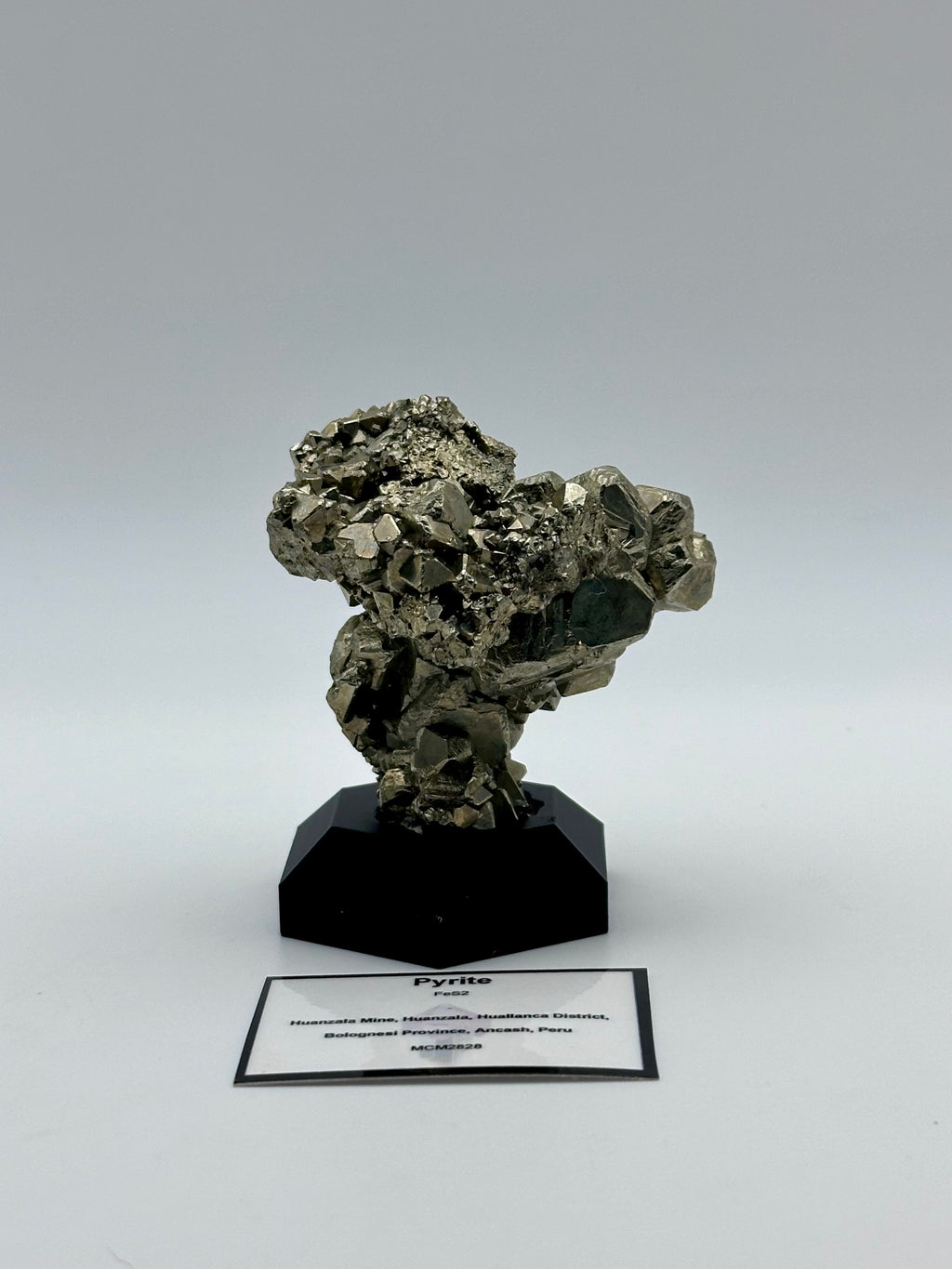 Pyrite Cluster - Huanzala Mine, Peru
