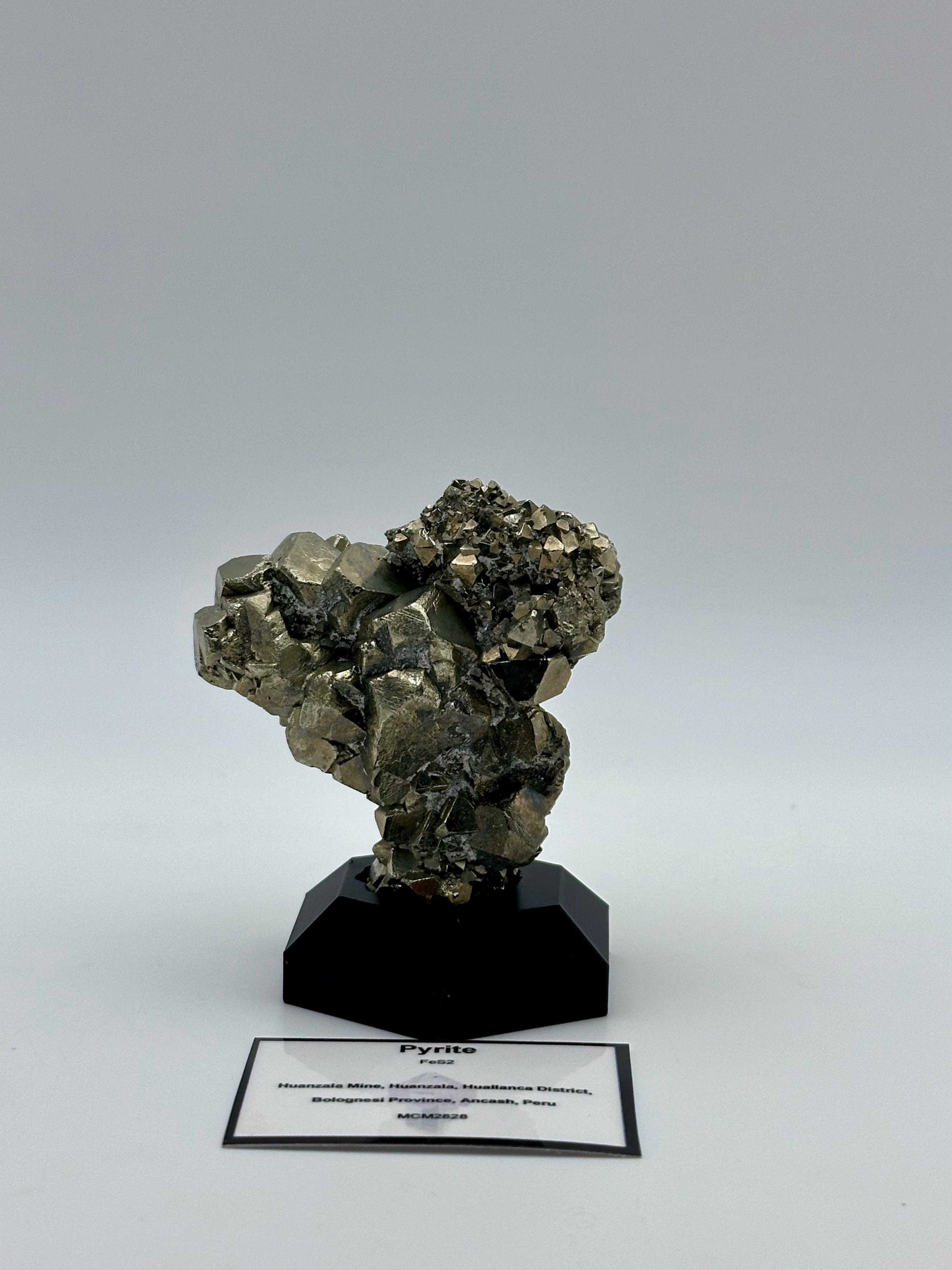 Pyrite Cluster - Huanzala Mine, Peru