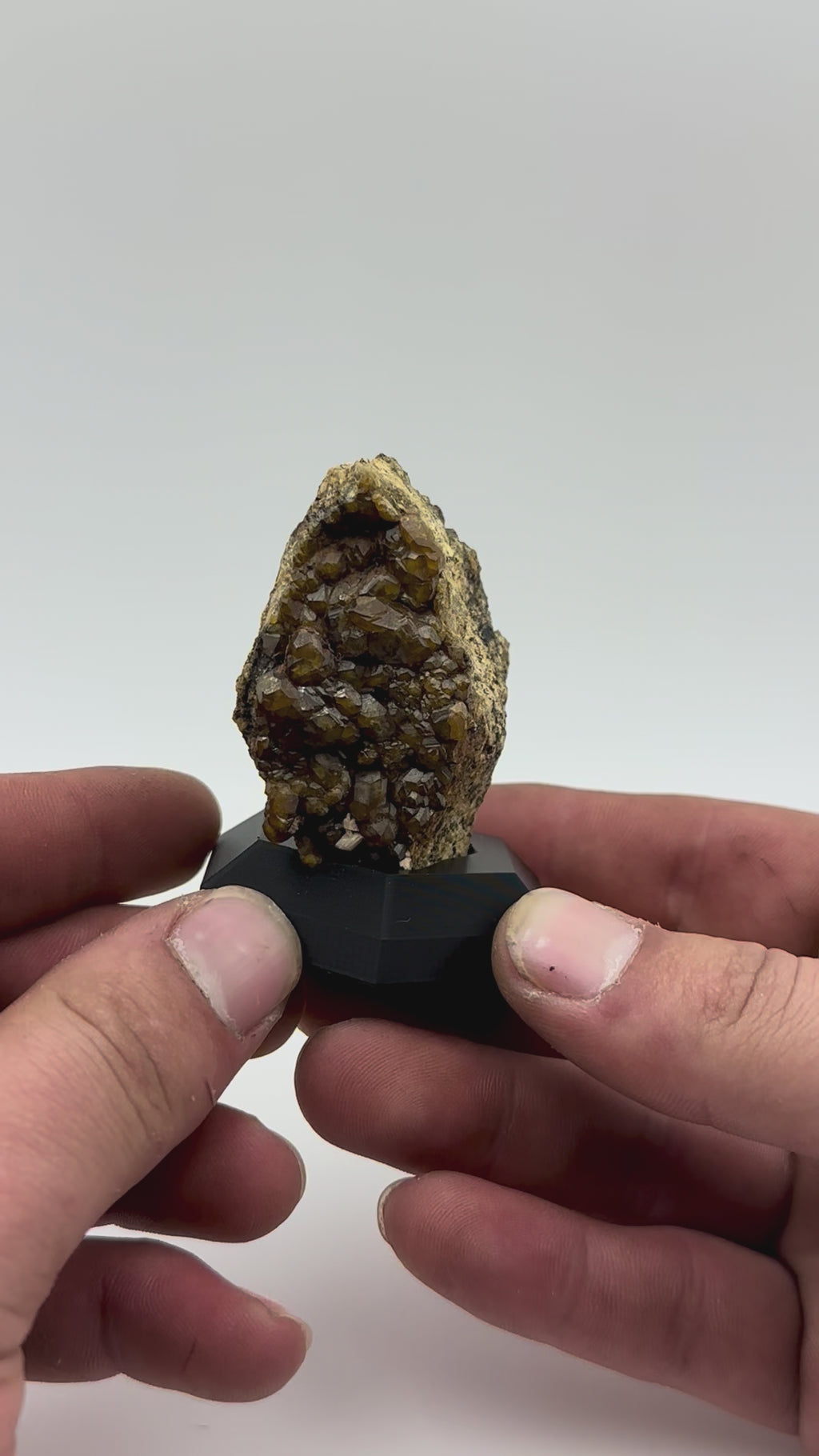 Andradite Garnet on Matrix – Arizona (Stanley Butte)