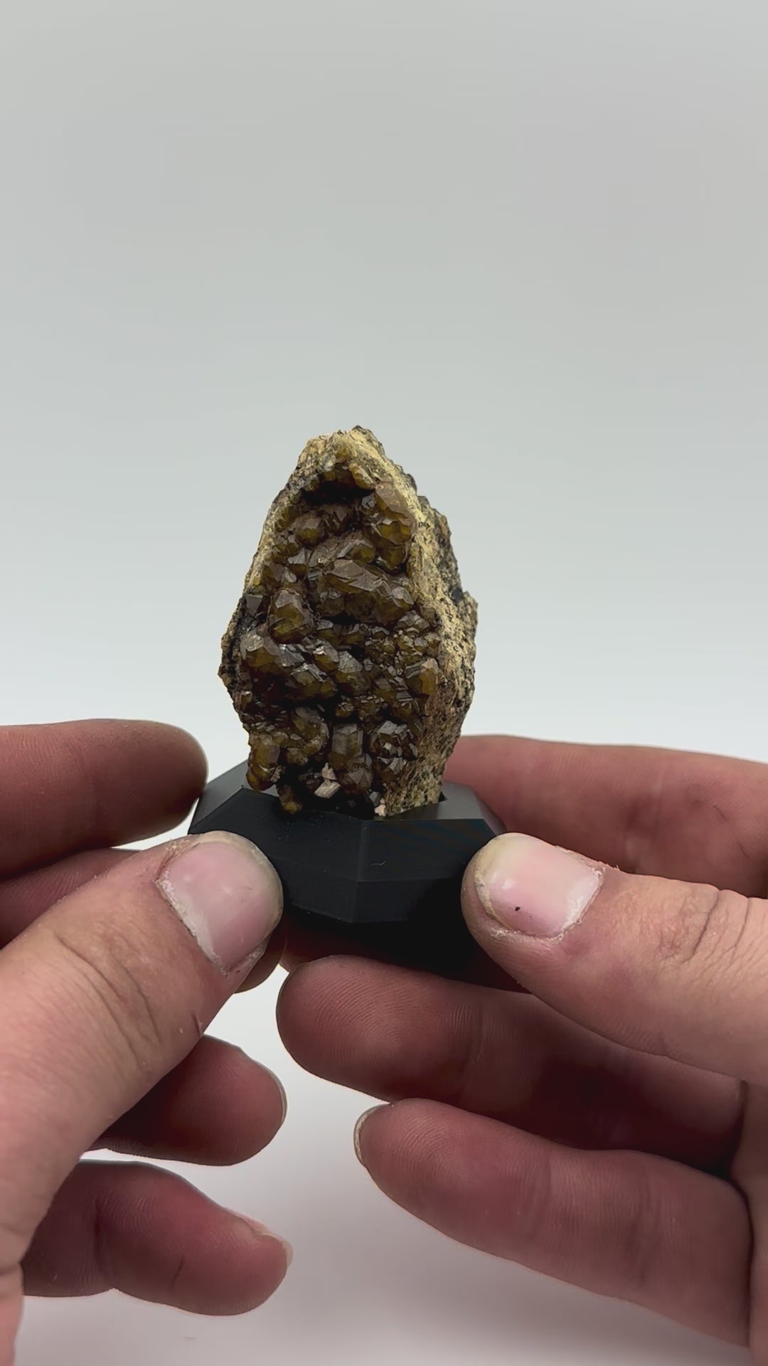 Andradite Garnet on Matrix – Arizona (Stanley Butte)