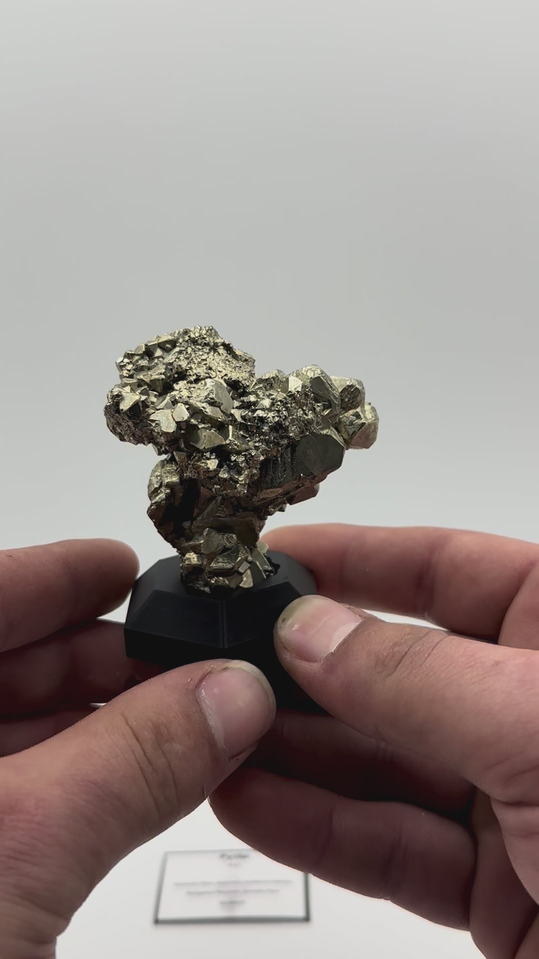 Pyrite Cluster - Huanzala Mine, Peru